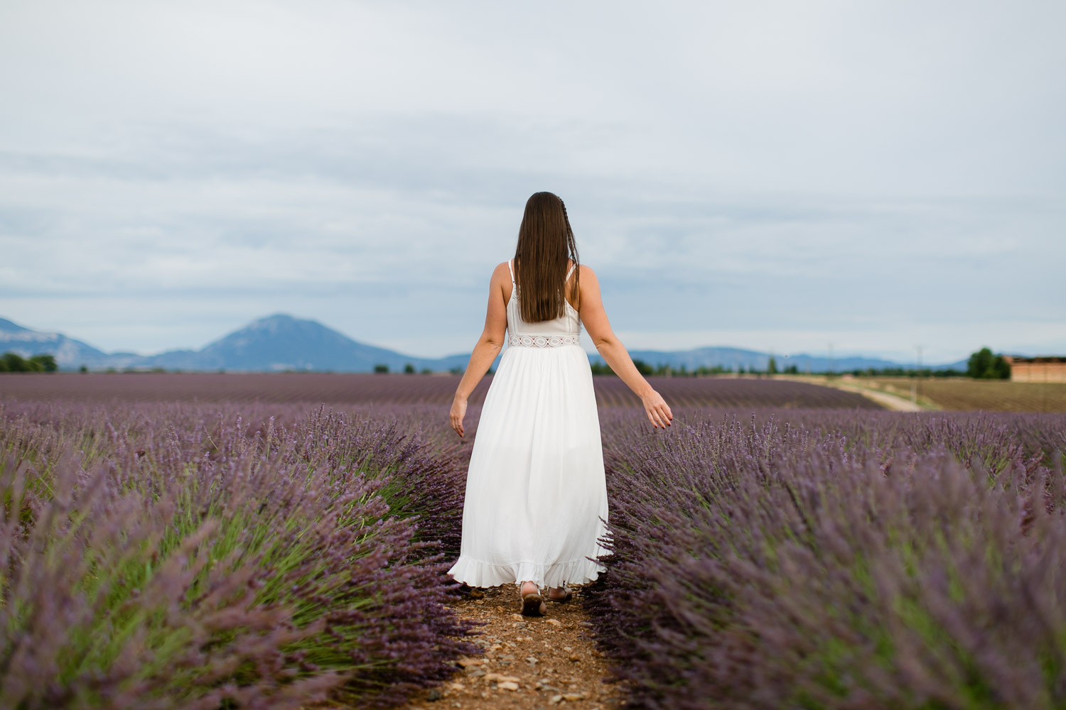 Boho Photoshooting Lavender Field