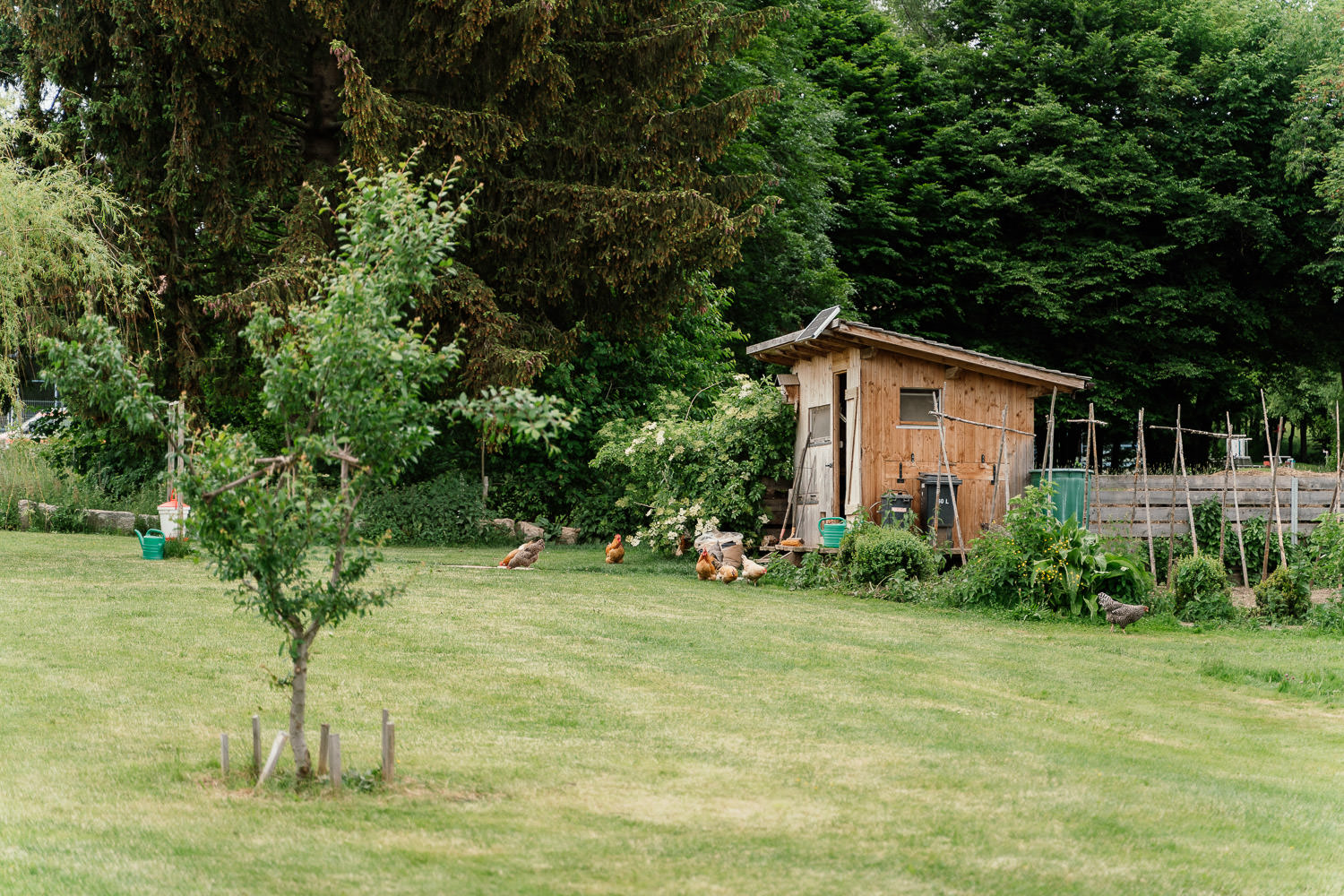 Hochzeit auf einem Hofgut