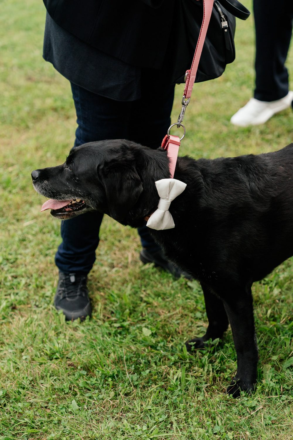Heiraten am Ammersee
